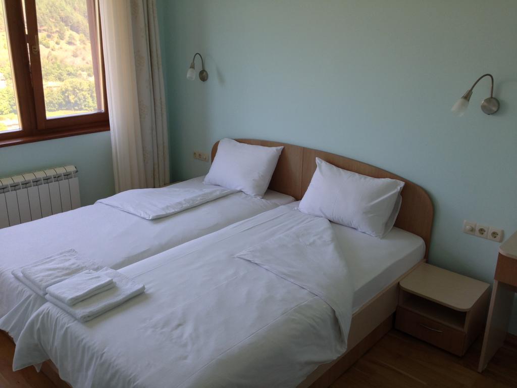 Mala Planina Guest House Iskrets Kamer foto