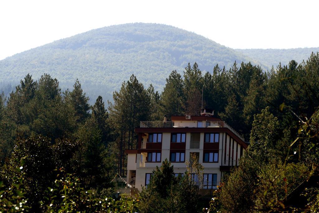 Mala Planina Guest House Iskrets Buitenkant foto