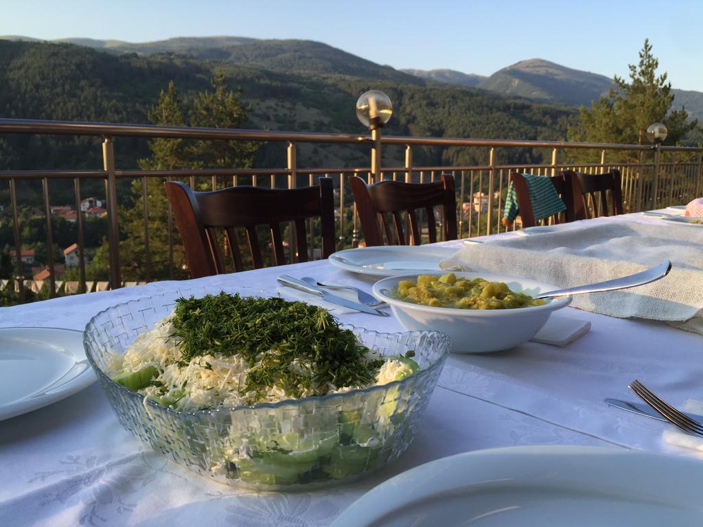 Mala Planina Guest House Iskrets Buitenkant foto